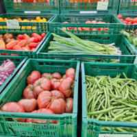 Veggies for our veggie basket