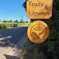 Workshop: Verarbeitung von Gemüse und Obst - alles über Fermentation und Trocknung in Rohkostqualität - 27. September – Bild 6