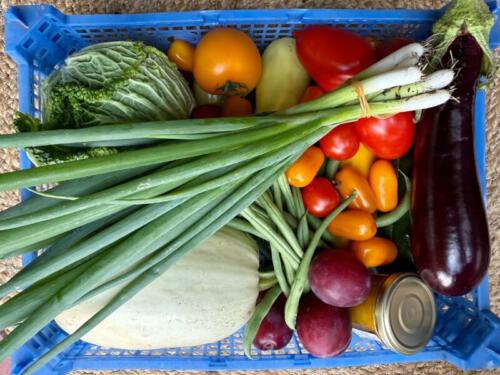 Arthur's Basket of vegetable goodness