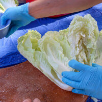 salting for Kimchi