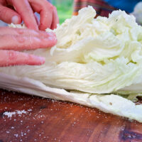 salting the Napa cabbage