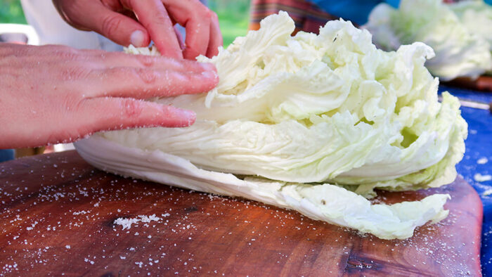 salting the Napa cabbage