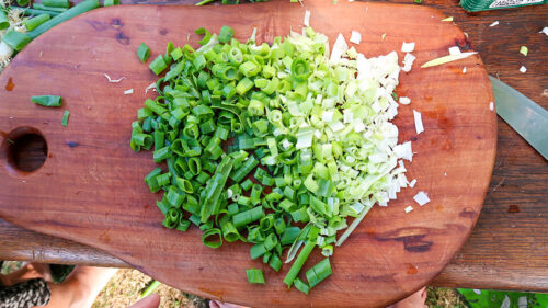 fresh spring onions ready for the mix