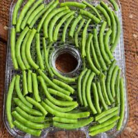 Workshop: Verarbeitung von Gemüse und Obst - alles über Fermentation und Trocknung in Rohkostqualität - 27. September – Bild 4