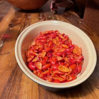 Workshop: Verarbeitung von Gemüse und Obst - alles über Fermentation und Trocknung in Rohkostqualität - 27. September – Bild 9