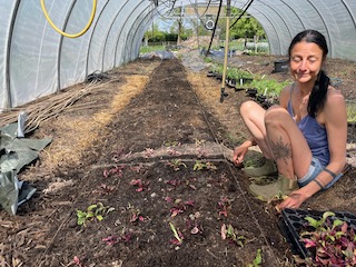 Sonja planting beetroot in the new polytunnel