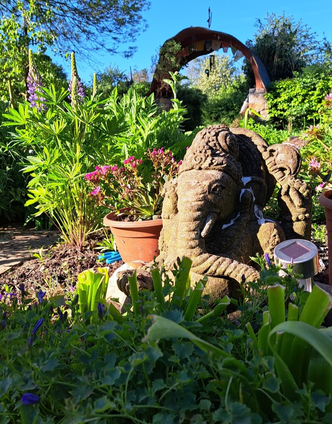 winter is coming, Ganesha statue in the morning sun with our beautiful garden in the background