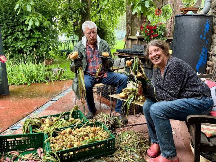 Robbie and Moni and the Onion Harvest