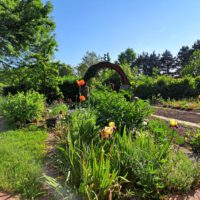 Om Bow Garden Herbal Spiral