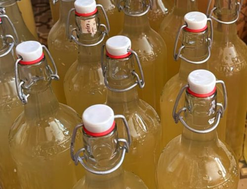 Freshly Bottled and Back Again: Our Raw, Handmade Apple Vinegar