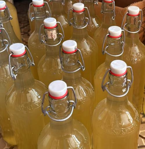 Raw handmade apple vinegar from Arthur Greenbean, unfiltered and naturally fermented