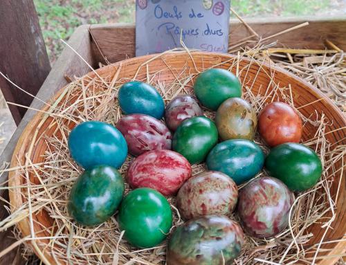 🌷 Salutations de Pâques de notre magasin à la ferme !