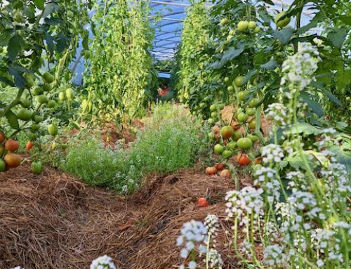 Der Stand der Dinge: Januar 2026