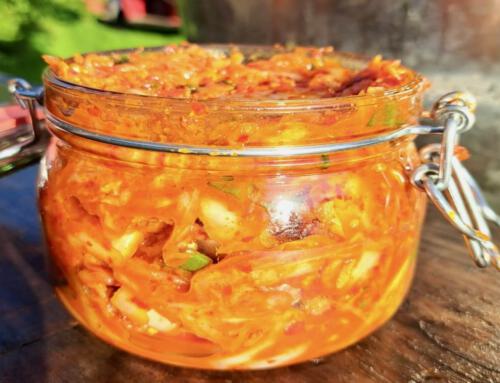 why fermented foods are good for us?