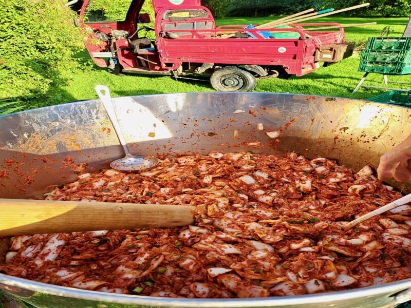 kimchi in the pan-2 kimchi in the mixing pot