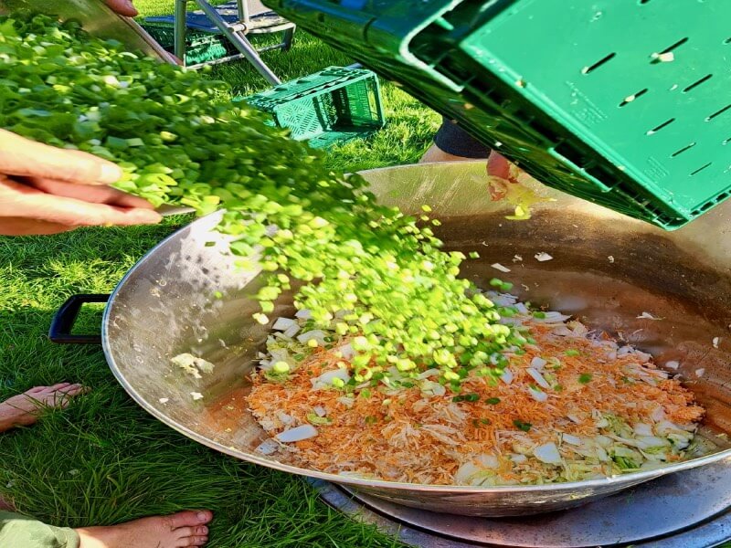 oh those spring onions-2 oh those delicious spring onions