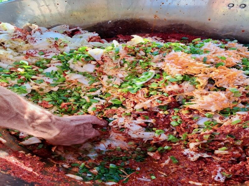 ready to mix the Kimchi-2 ready to mix the Kimchi by hand