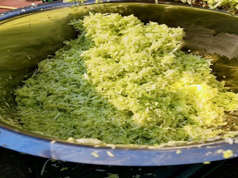 shredded cabbage-2 shredded cabbage