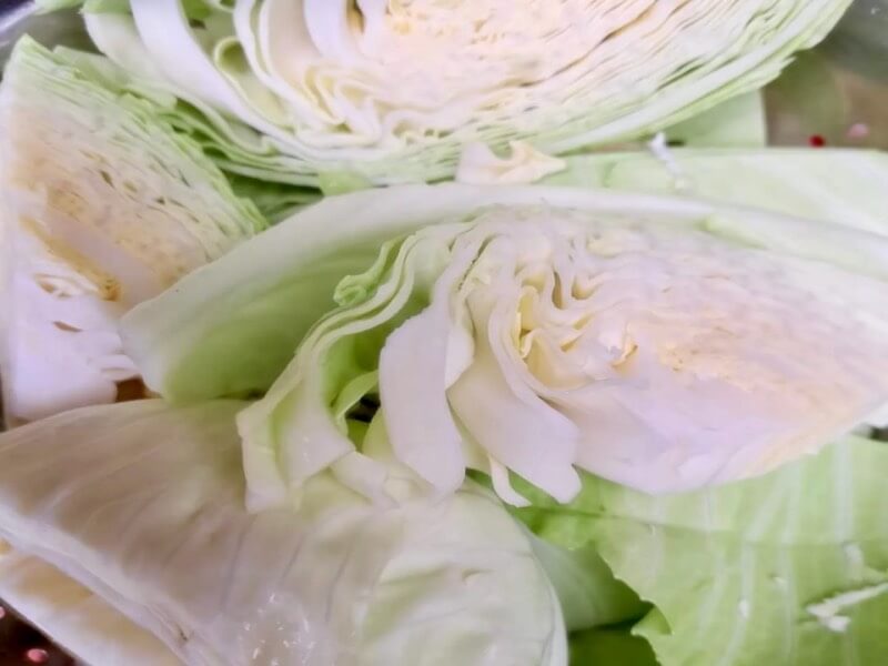 white cabbage Dottenfelder AGBR-2 white cabbage Dottenfelder AGBR